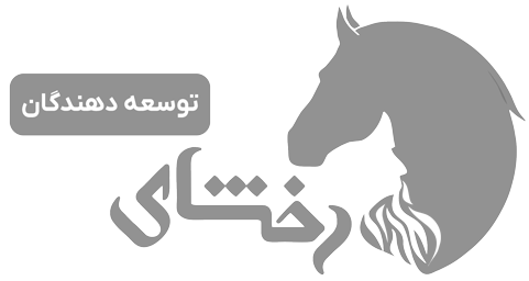 Rinotex