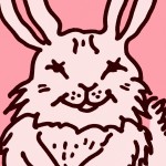 Close up,cute rabbit,doodle in the style,Pink background,bold lines and solid colors,sharpie illustration,Default Style