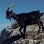 A goat running on a mountain top