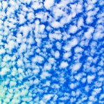 آسمان  ماه رنگ سبز کارتونی ماهی آب