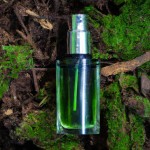 عطر کرید اونتوس در جنگل