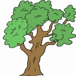 درخت