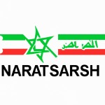یک لوگویه تمیز با سیمبل با طرح نوشته ( شاهد نصرت ) با پرچم ایران