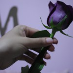 یک دست که روی آن حرف م نوشته شده و یک گل بنفشه در دست دارد