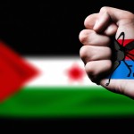 یه دست که در مچش سربند پرچم فلسطین را دارد و مشت کرده دست خود را و به سمت عنکبوت با طرح پرچم اسرائیل میزند