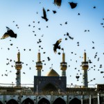 حرم امام رضا با پرندگان درحال پرواز و زائران درحال خدمت