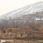 تهیونگد