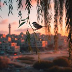 گنجشک در غزه