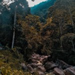 عکس من