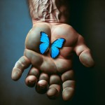 پروانه آبی رنگ روی یک دست مرد بزرگ