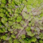 تصویر زمین از بالا با پهباد