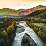 منظره ای از جنگل ها با رودخانه و کوه در غروب و چند پرنده