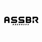 یک لوگو با کلمه Absar Server
