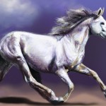 یک اسب در حال دویدن