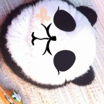 یک گیتار تیلور با طرح پاندای کونگ فو کار بساز