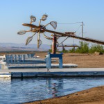 مجتمع پرورش میگو مکانیزه در بیابان