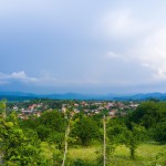 یه تصویر سرسبز در باره طبیعت شهر رشت