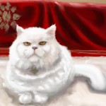 یک گربه سفید پشمالو نشسته در فرش قرمز ایرانی