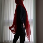 عکس یک زن را نشان می‌دهد که چادر مشکی به سر دارد. زیر چادر، یک روسری قرمز رنگ دیده می‌شود که به چهره او روشنایی خاصی بخشیده است. چادر او کمی در باد به اهتزاز درآمده و حالتی پویا به تصویر داده است.
این زن بدون کفش در یک خانه ایستاده است.