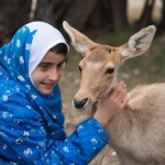 یک دختر محجبه ایرانی با چادری مشکل و روسری آبی، درحال نوازش یک بچه آهو.
