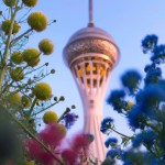 عکس برج میلاد رو واسم بساز که پر از گل و گیاه اطرافش