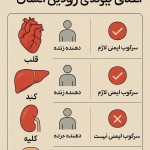 یک پوستر در مورد اعضای پیوندی روتین انسان بساز که در آن مشخص باشد از چه اعضایی ، چه نوع فرد دهنده‌های و آیا سرکوب ایمنی لازم است یا نه . پوستر کیفیت و وضوح بالایی داشته باشد
