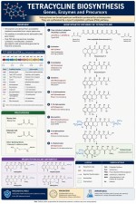یک پوستر به زبان انگلیسی در مورد مسیر بیوسنتز آنتی بیوتیک تتراسایکلین و ژن‌ها و آنزیم ها و پیش‌ساز های آن بساز که وضوح و کیفیت بالا داشته باشد