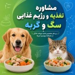لطفا یک بنر بهم بده با بک گراند سبز و آبی کهدرش یک عکس سگ و یک عکس گربه باشه که جلوشون غذای خونگی هستش، این متن هم در تصویر با فونت بخ بنویس : مشاوره تغذیه و رژیم غذایی سگ و گربه زیرش با یک متن کوچکتر بنویس: زیر نظر متخصصین تغذیه حیوانات خانگی از دانشگاه کربوندیل آمریکا در ظراحی از خطوط دیجیتایزد هم استفاده کن