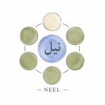 میتونی همین لوگو رو بدون دست زدن به جزییات 
در دایره ی وسط که نوشته ی نیل هست 
اون دایره رو ابی کن ( ابرنگ کمی دستی و ناقص) 
یکی از دایره های بالا رو هم کرم کمرنگ کن
